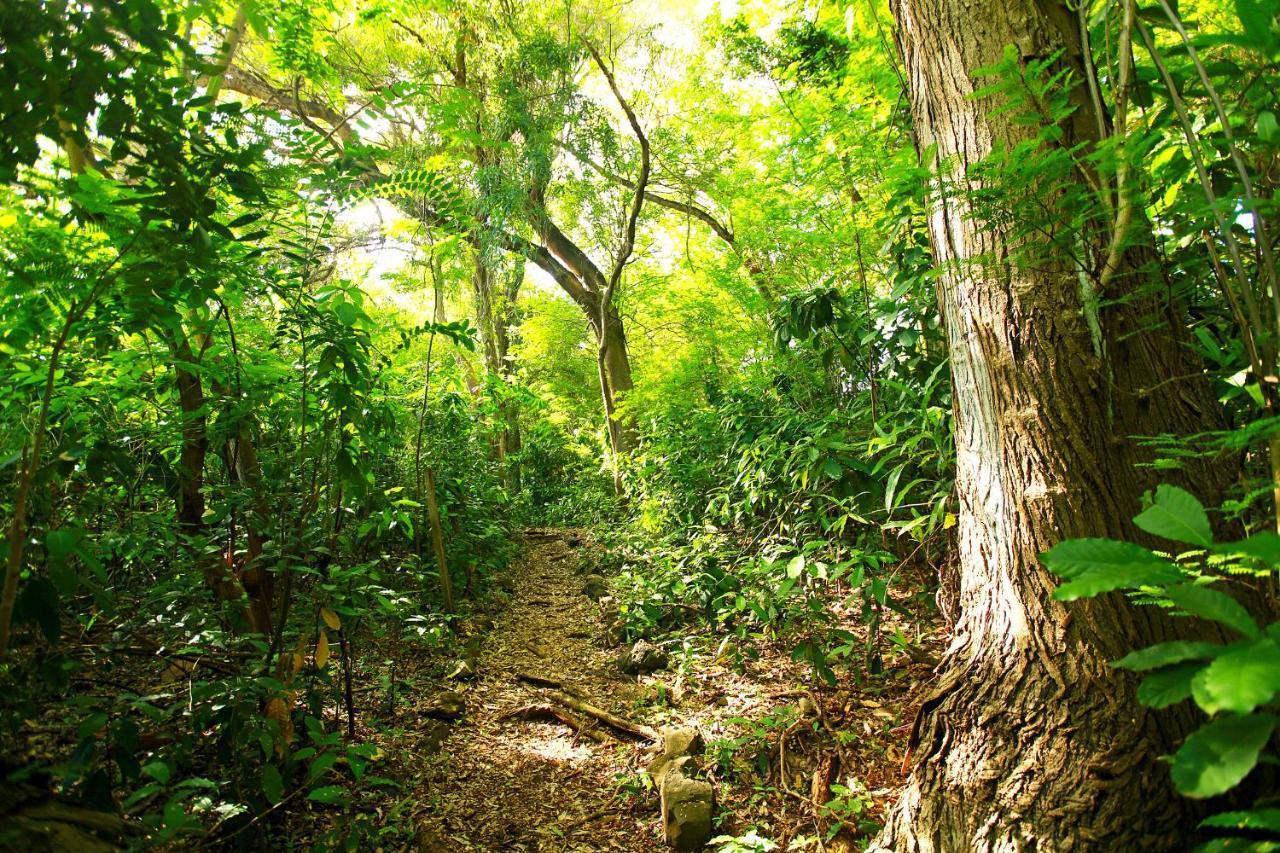 Pousada Do Vale Fernando de Noronha Zewnętrze zdjęcie